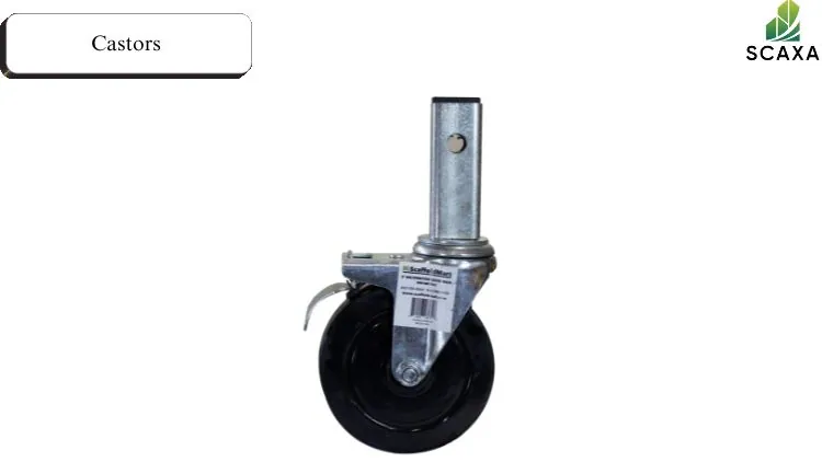 Castors