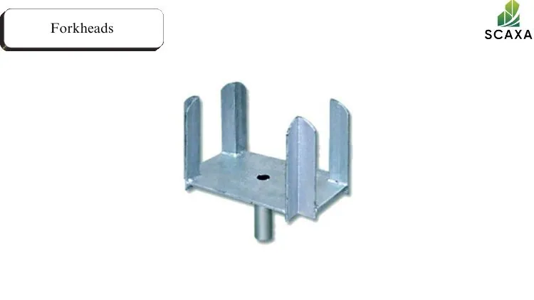 Forkheads